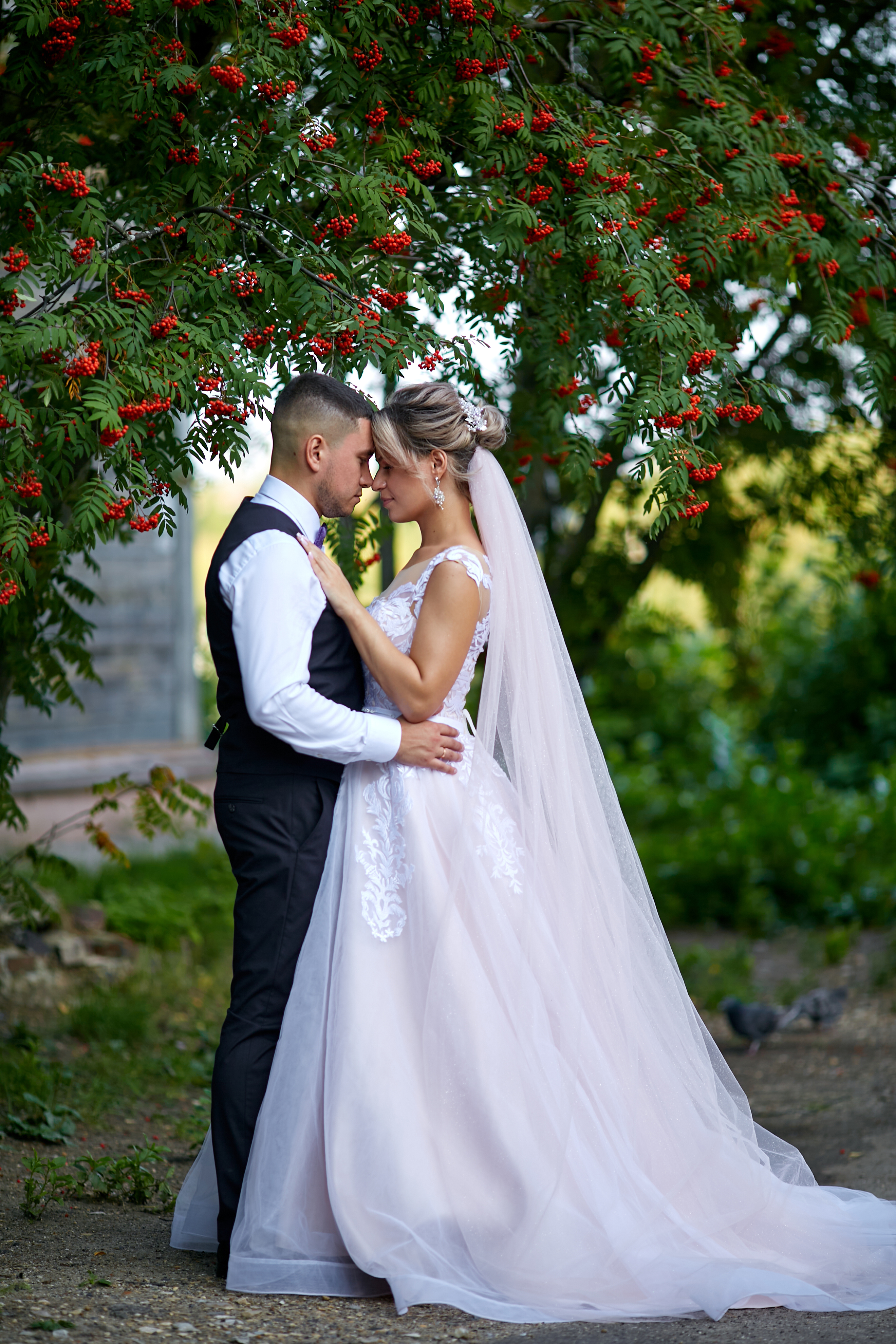 0X5A5368
